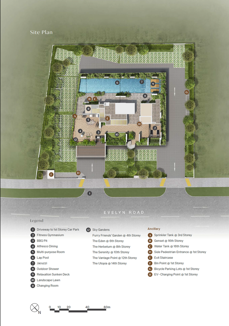 Site Plan Image