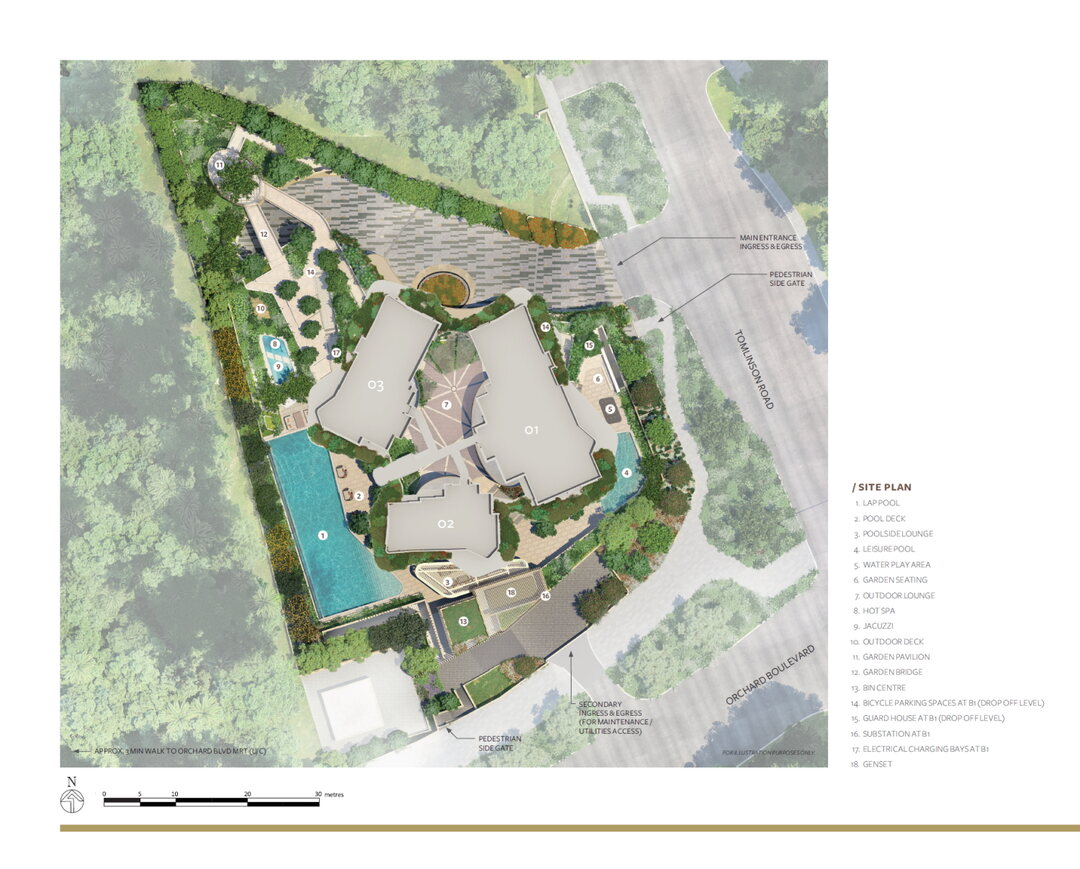 Site Plan Image